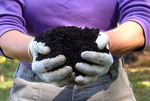 compost-hands 2 compost-hands 2