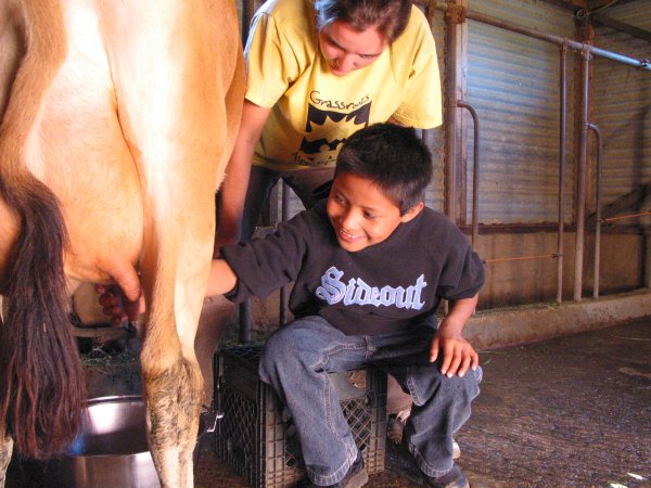 milking milking