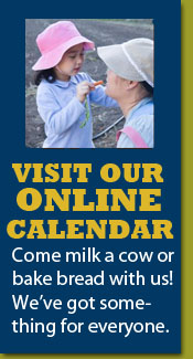 onlinecalendar