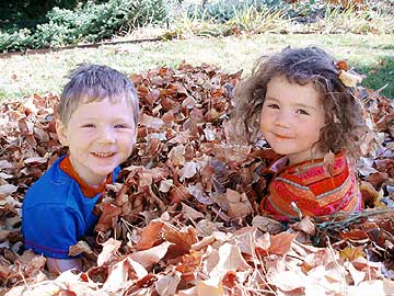 kids in leaves kids in leaves