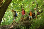 kids in forest kids in forest